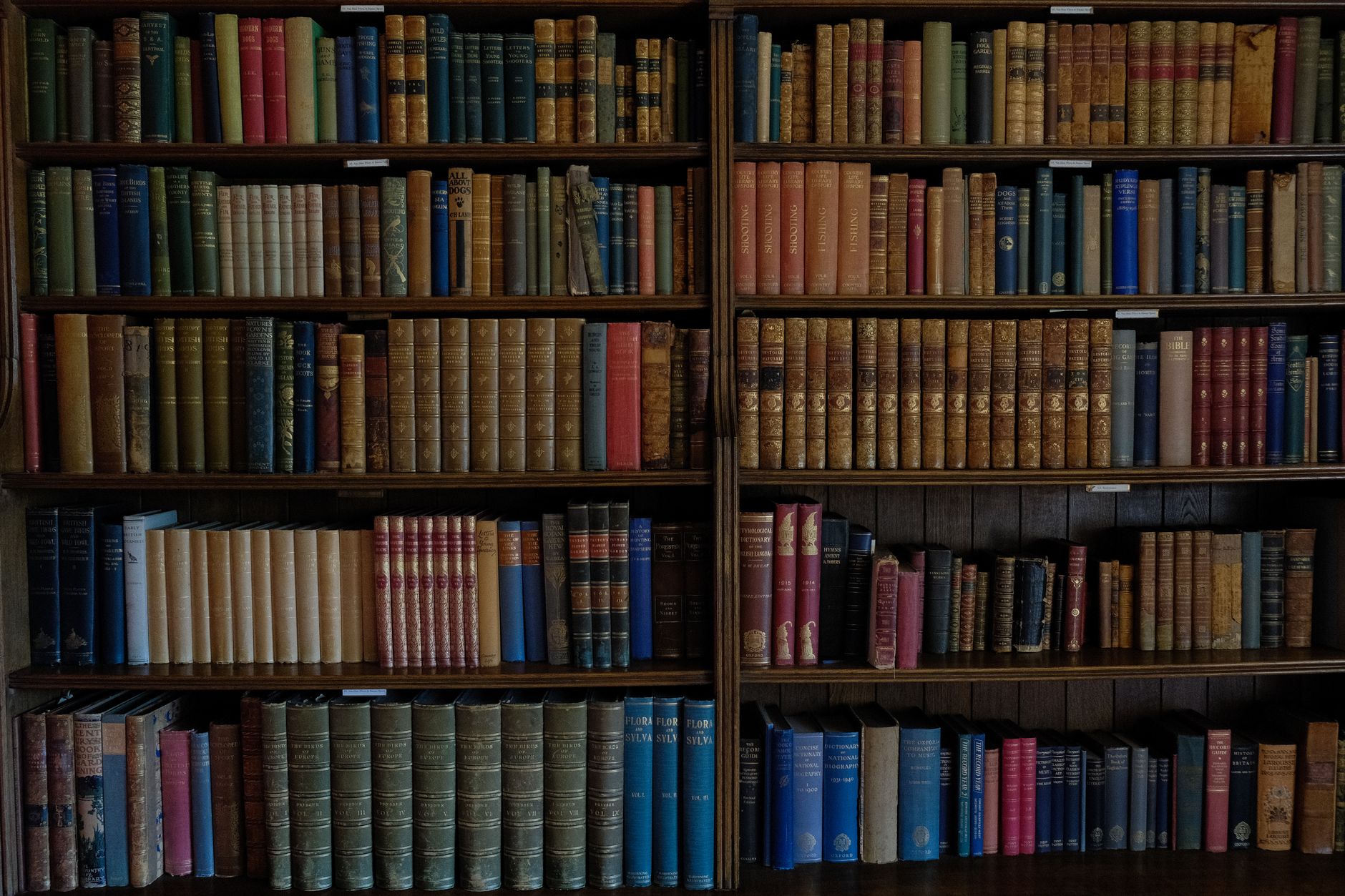 Najciekawsze książki z literatury pięknej – co warto przeczytać?