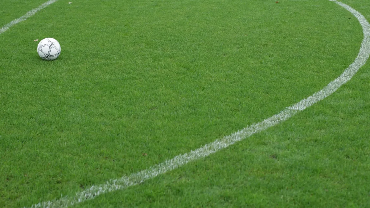 Murawa na stadionie.