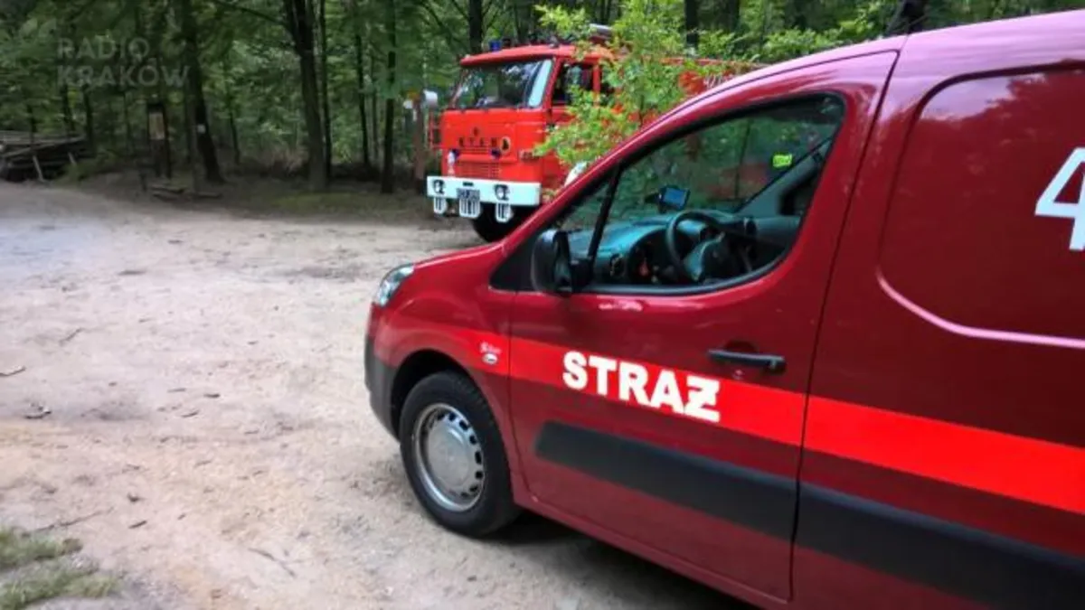 W Młoszowej zaginął 8-latek. Policja prosi o pomoc