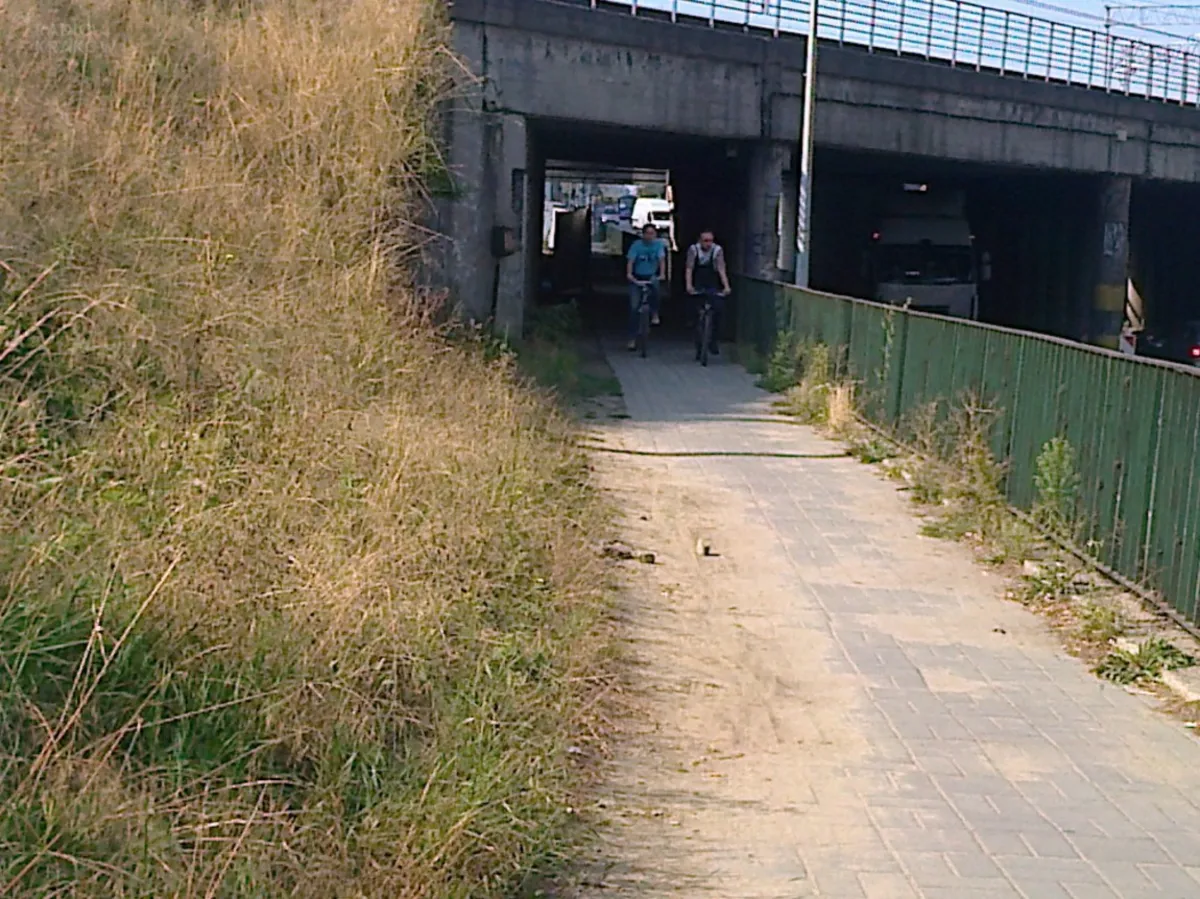 Tarnowskie chodniki opanowane przez nieostrożnych rowerzystów? Interwencja RK