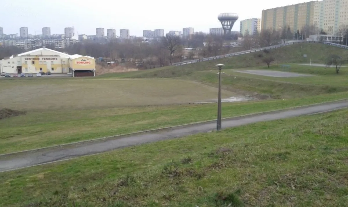 Mieszkańcy ul. Wojska Polskiego w Tarnowie: zamiast boiska mamy pole ryżowe