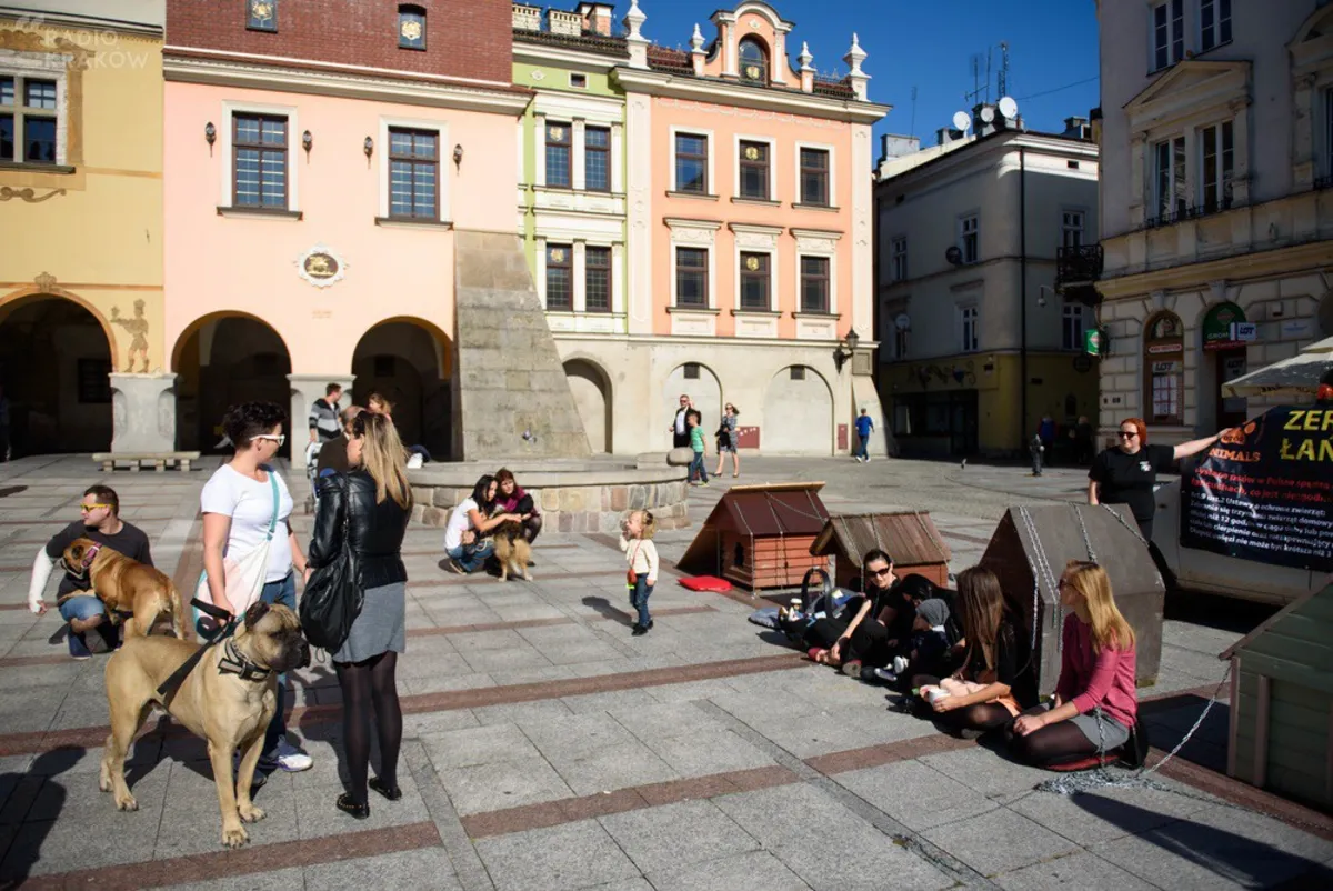 Tarnów dołączył do ogólnopolskiej akcji "Zerwijmy łańcuchy". Mieszkańcy apelują o lepsze traktowanie psów
