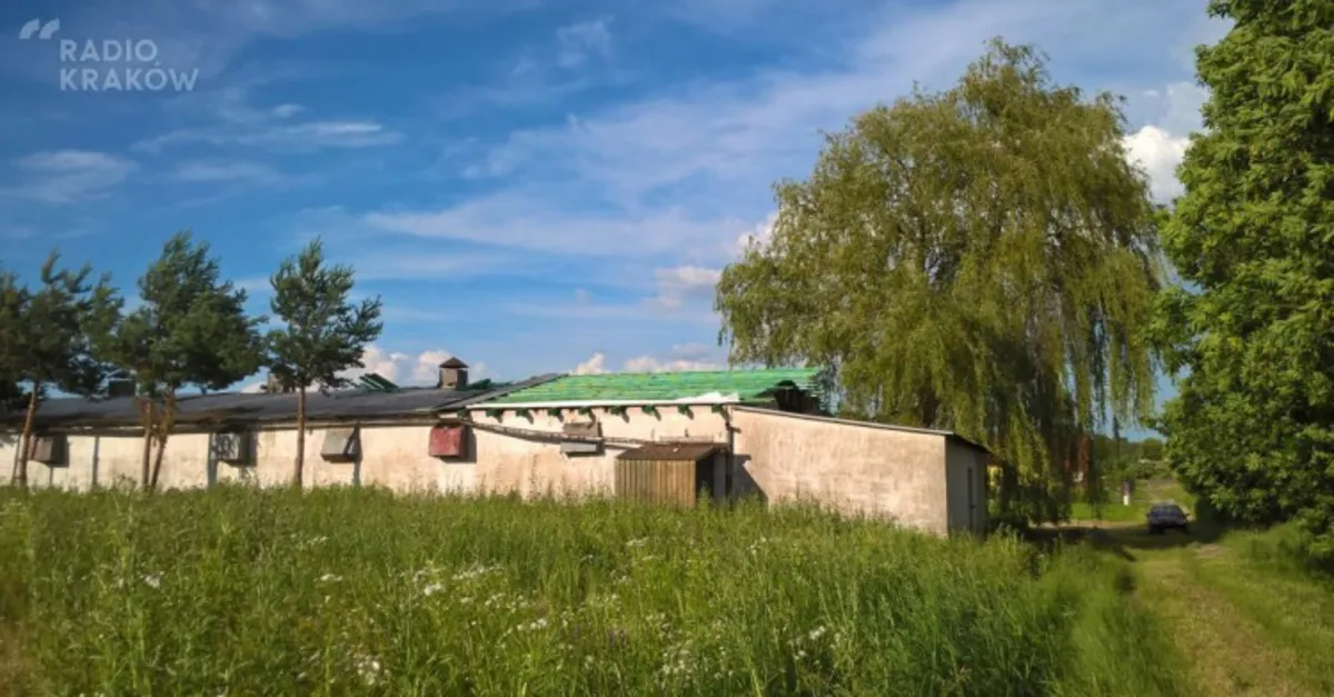 Kurnik w Tarnowie może znowu zacząć działać, mimo że nie powinien istnieć od 30 lat?