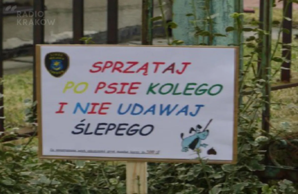 Tarnowska Straż Miejska będzie zachęcać poezją do... zbierania z trawników i chodników psich kup