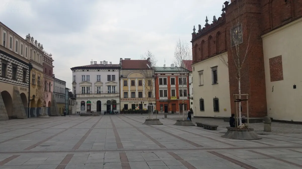 Na tarnowskim Rynku stanęły już młode brzozy. To jednak nie koniec zmian