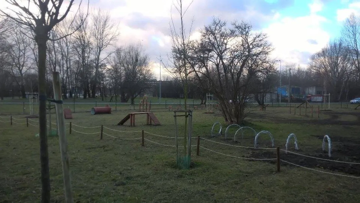 W Tarnowie powstanie wybieg dla psów. "To nie będzie psia toaleta"