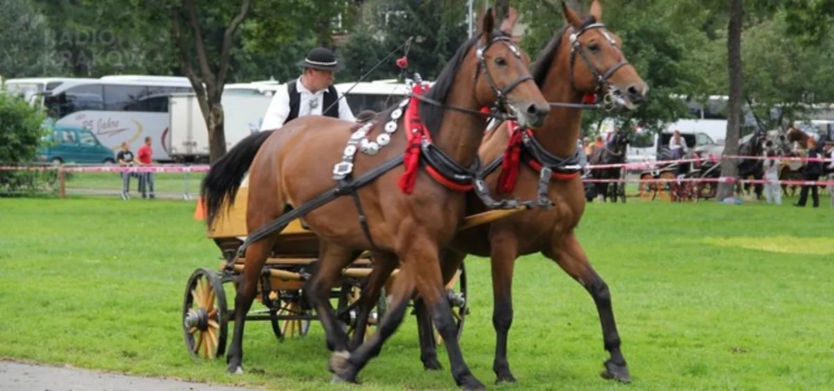 Rozpoczął się 46. Festiwal Folkloru Ziem Górskich