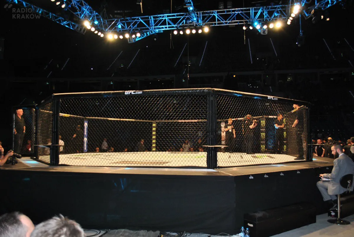 Krew, pot i łzy. UFC w Kraków Arenie