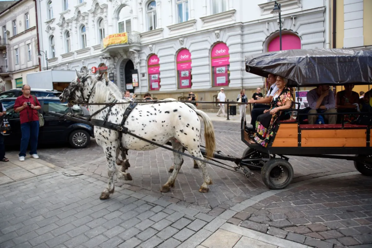 Wyruszył 18. Międzynarodowy Tabor Pamięci Romów