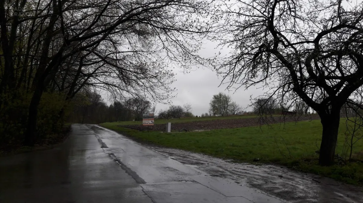 Są protesty przeciwko poszerzaniu drogi przy Parku Leśnym Witkowice