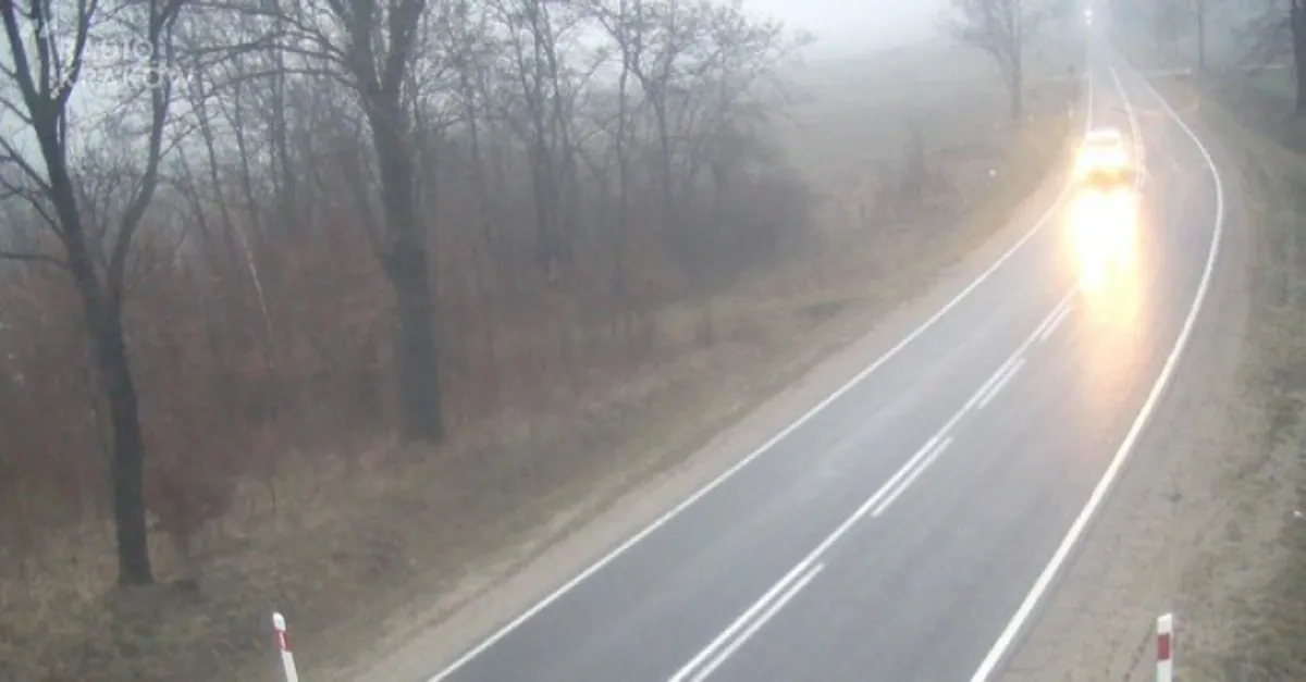 Trwa akcja ZNICZ. Policja apeluje do kierowców o ostrożność