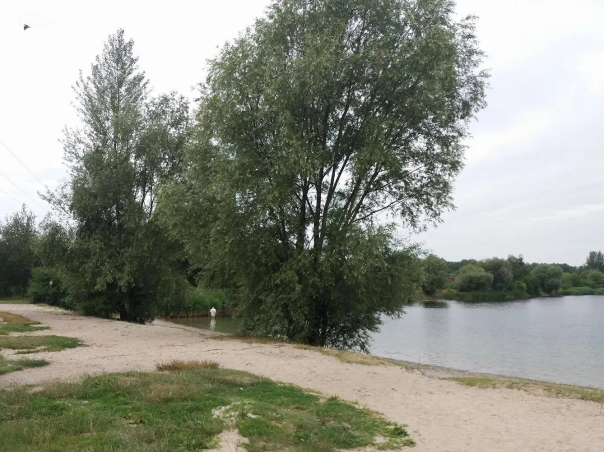 Zwycięzca krakowskiego budżetu obywatelskiego. Jak zmienią się Bagry?