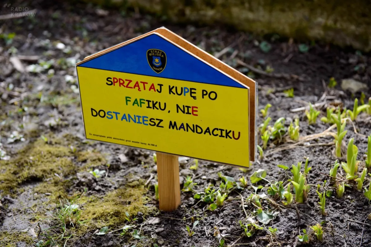 Rymem w psie odchody. Tarnowska straż miejska powtarza wyjątkową akcję