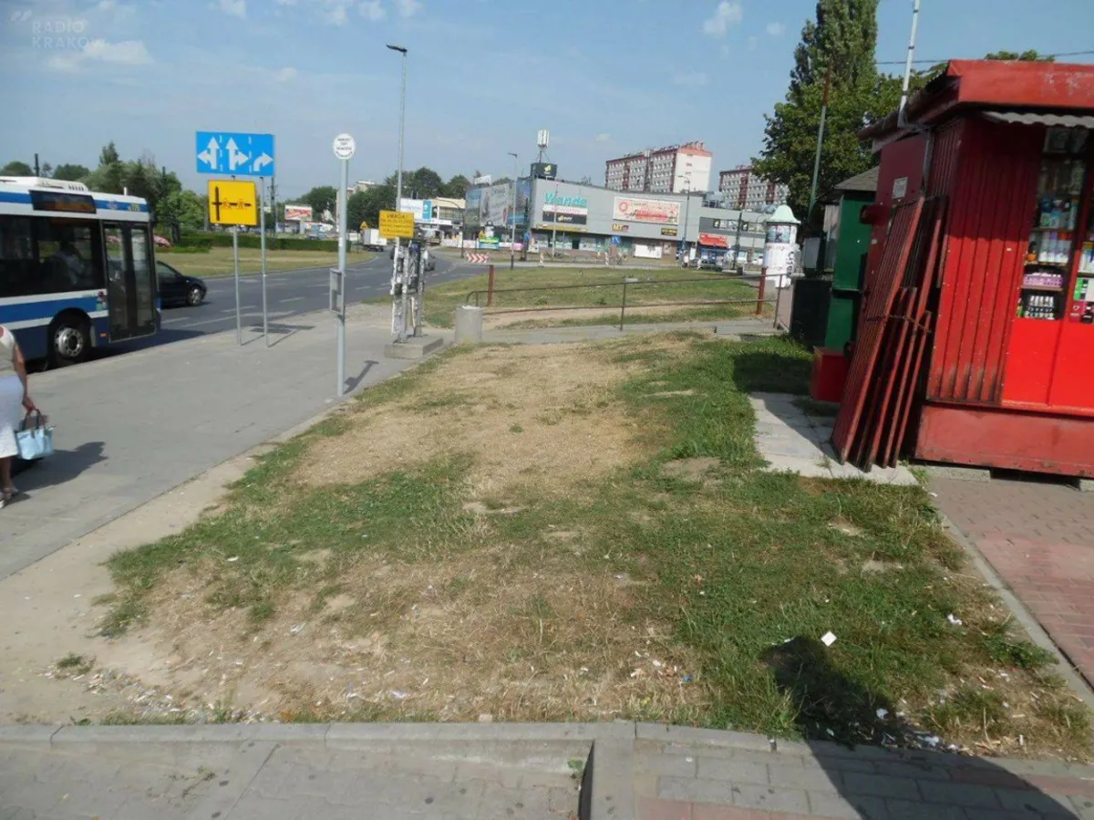 Tragiczny stan pasów zieleni przy remontowanych drogach w Krakowie