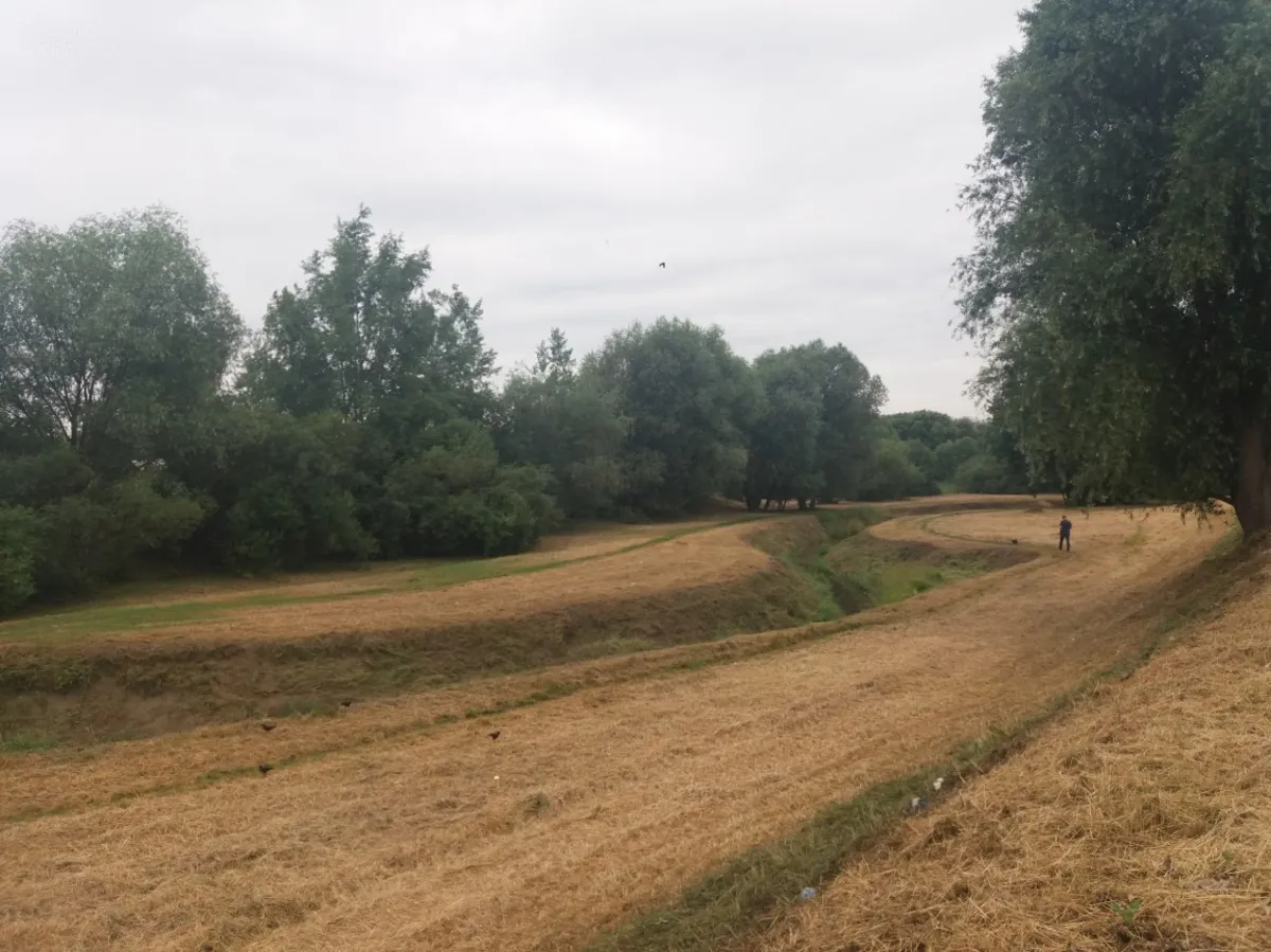 Plaża nad Wątokiem w Tarnowie nie będzie gotowa w tym roku