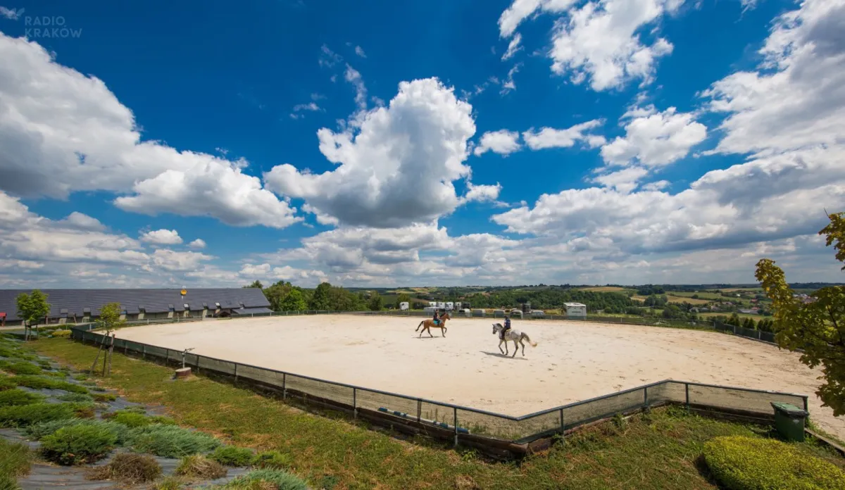 W Michałowicach odbędzie się prestiżowy pokaz i aukcja koni arabskich  