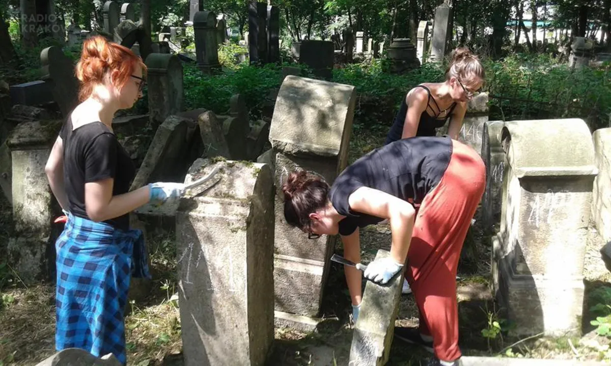 Studenci skatalogowali już 1,5 tysiąca macew na tarnowskim kirkucie