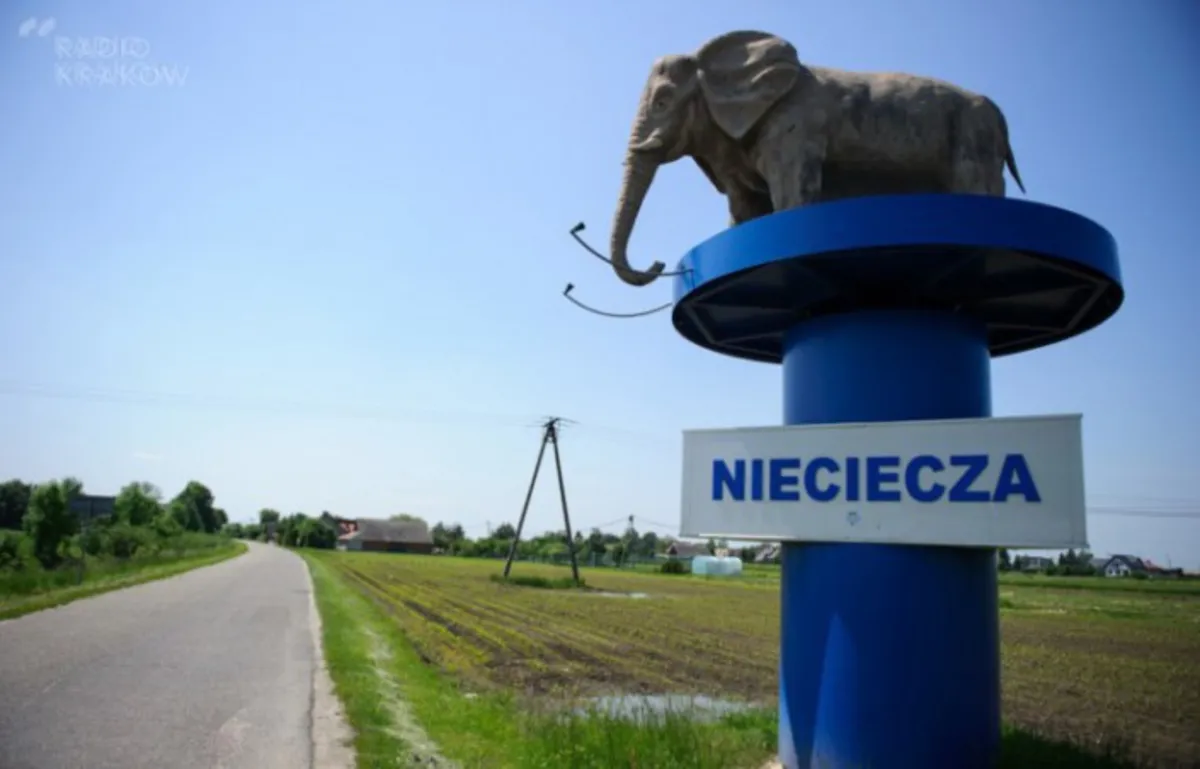 Termalika chce szybko wrócić do ekstraklasy!