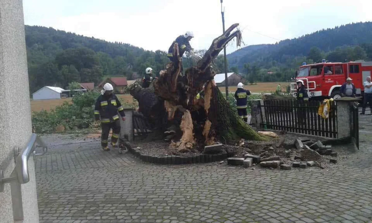 Burze i silny deszcz w tarnowskiem. Strażacy interweniowali ponad 20 razy