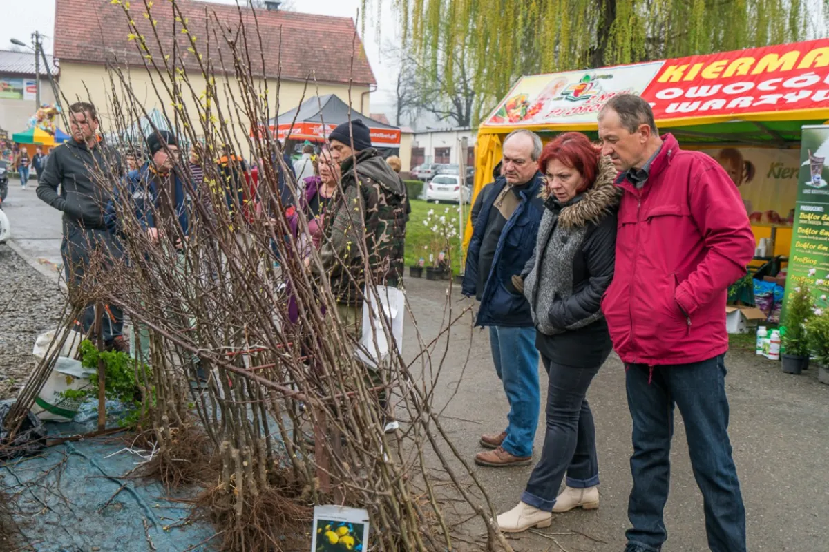Wiosenne spotkanie z przyrodą. Eko Targi w Brzeznej