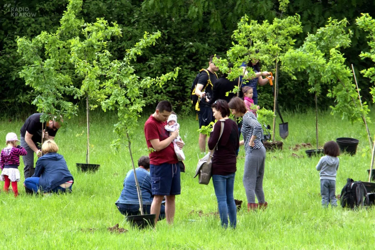 Od poniedziałku druga edycja zapisów do projektu "Park Krakowian"