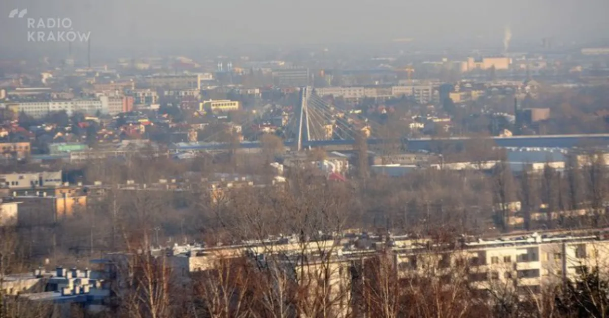 Ministerstwo Środowiska:  program „LIFE-Małopolska” pożyteczny, ale państwo nie może go dotować 