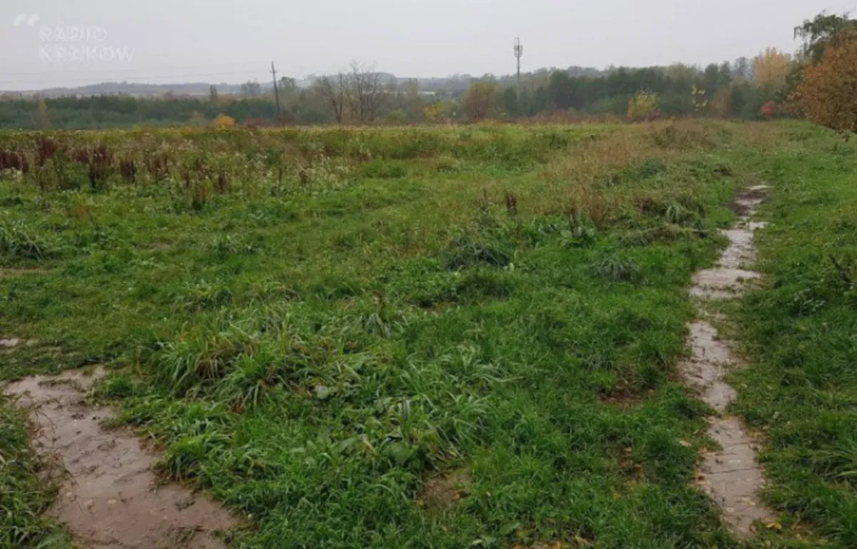 Mieszkańcy bronią parku Reduta. Zebrali podpisy, a petycję złożyli wojewodzie