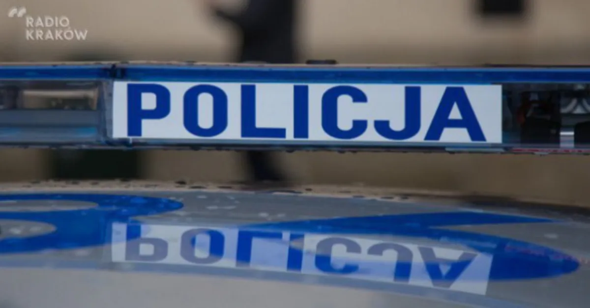 Dramat dziecka podczas wycieczki w góry. Podejrzany 18-latek trafił już do aresztu