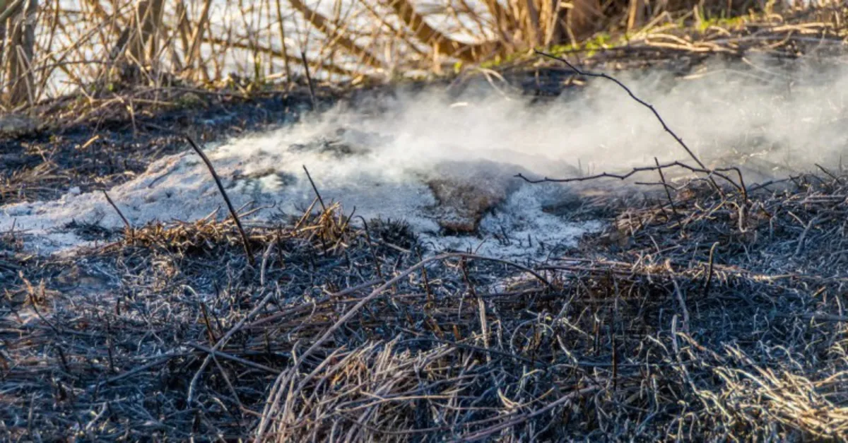 Pożary suchych traw znów dają się we znaki strażakom na Sądecczyźnie
