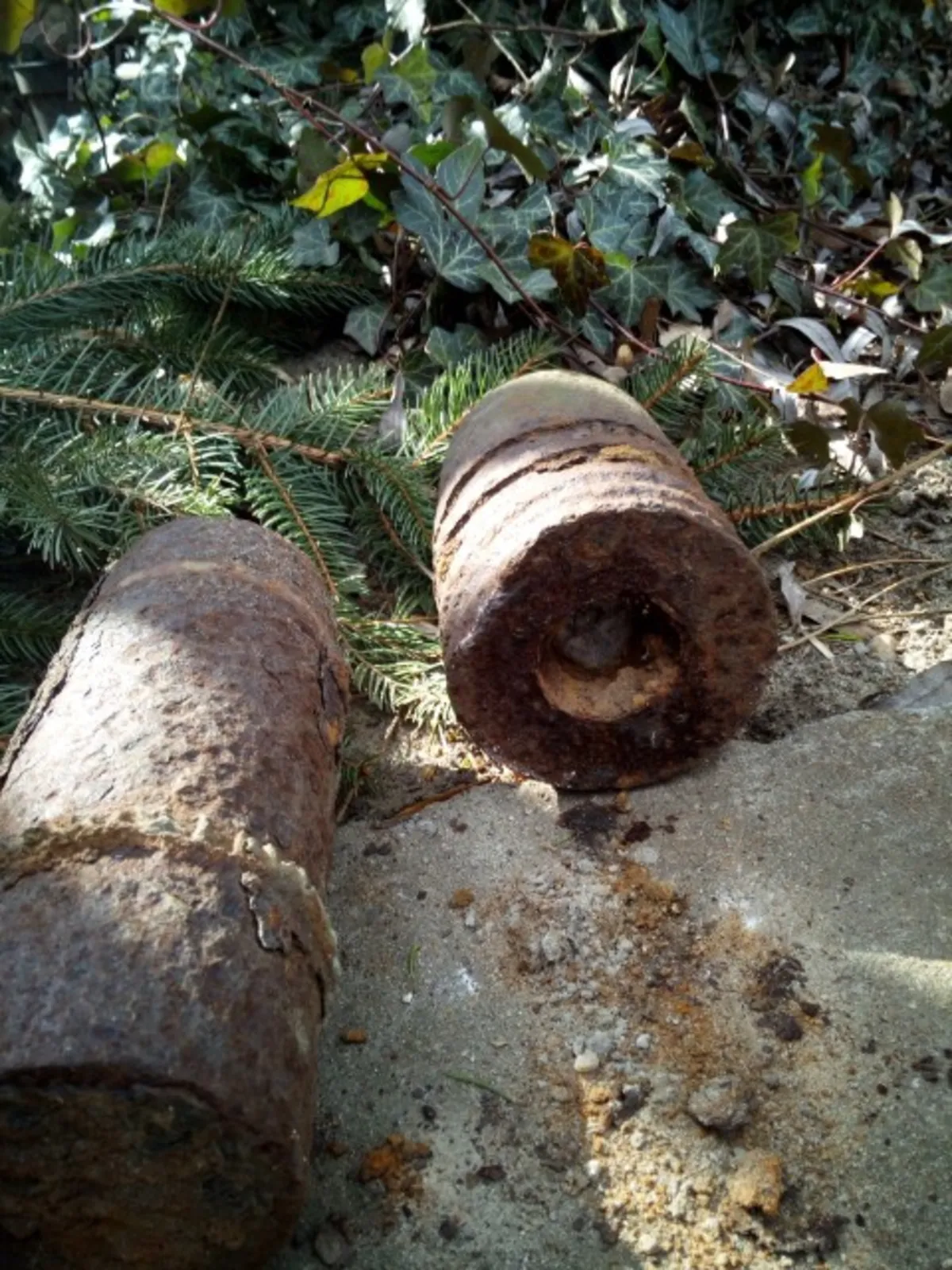 "Bombowa" interwencja w Wojniczu