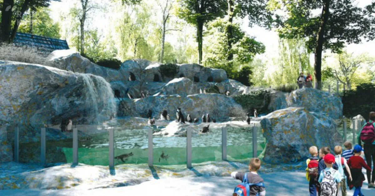 Pingwiniarnia w krakowskim ZOO będzie kosztowała 4 miliony. Przetarg rozstrzygnięty