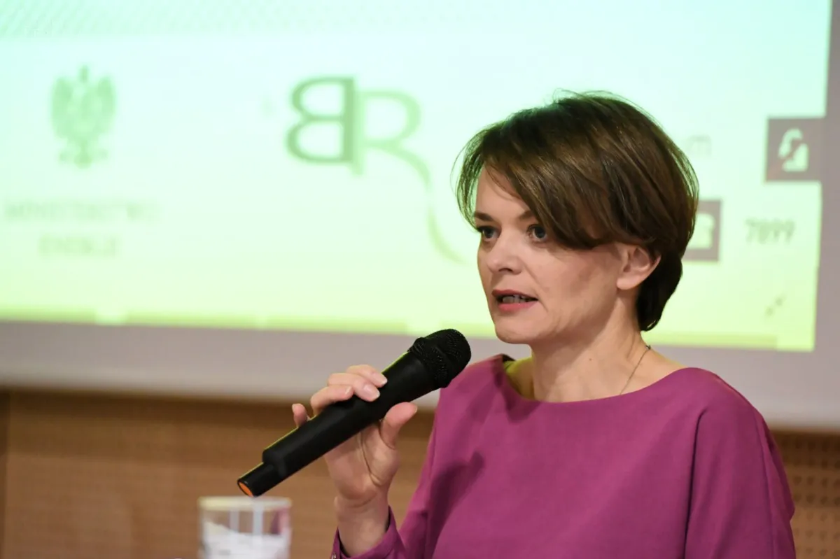 Emilewicz: W tym roku instalacje prosumenckie o łącznej mocy 200 MW