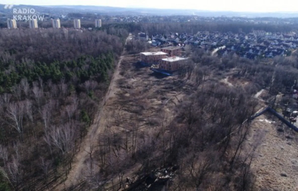 Plan miejscowy dla Lasu Borkowskiego jest nieważny