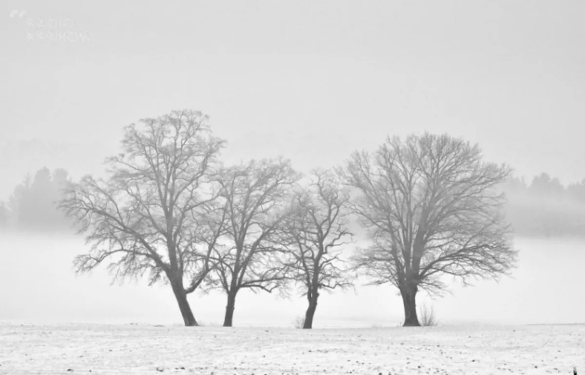 Kolejna śmiertelna ofiara mrozów?