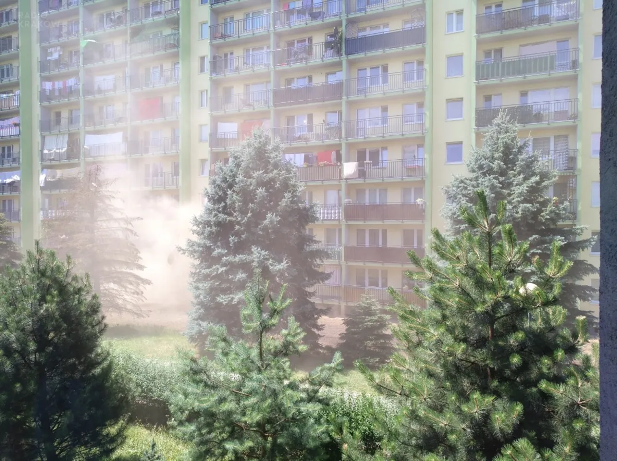 Tumany kurzu przy jednej z ulic w Tarnowie. Tak rekultywowano trawniki... w 35-stopniowym upale