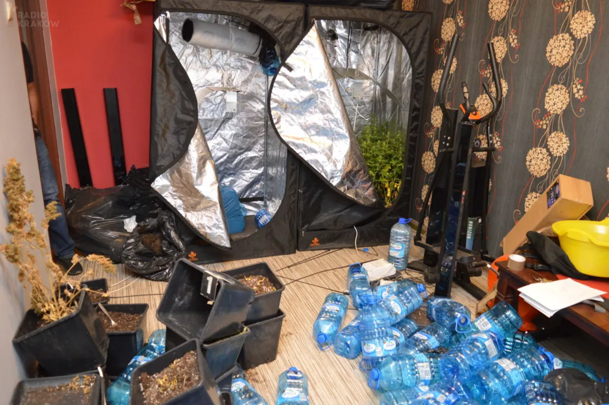 Policja przechwyciła prawie 3,5 kg marihuany wartej ponad 100 tys. zł