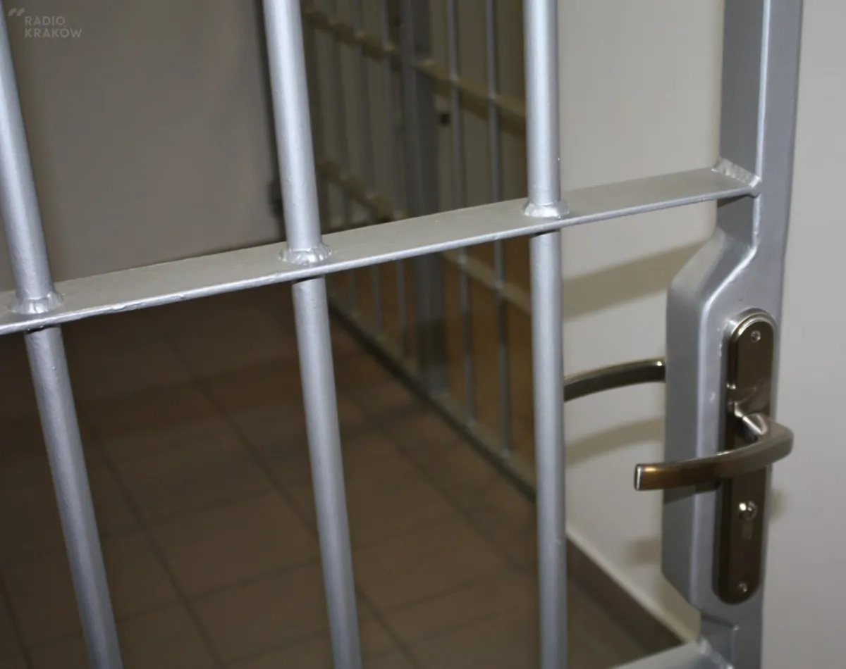 Znęcali się nad własnymi rodzinami, teraz grozi im nawet 5 lat więzienia