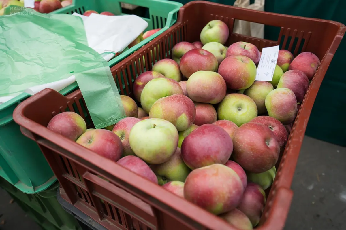 Polskie jabłka znów na cenzurowanym. Szwedzka sieć supermarketów wycofuje ze sprzedaży 19 ton owoców