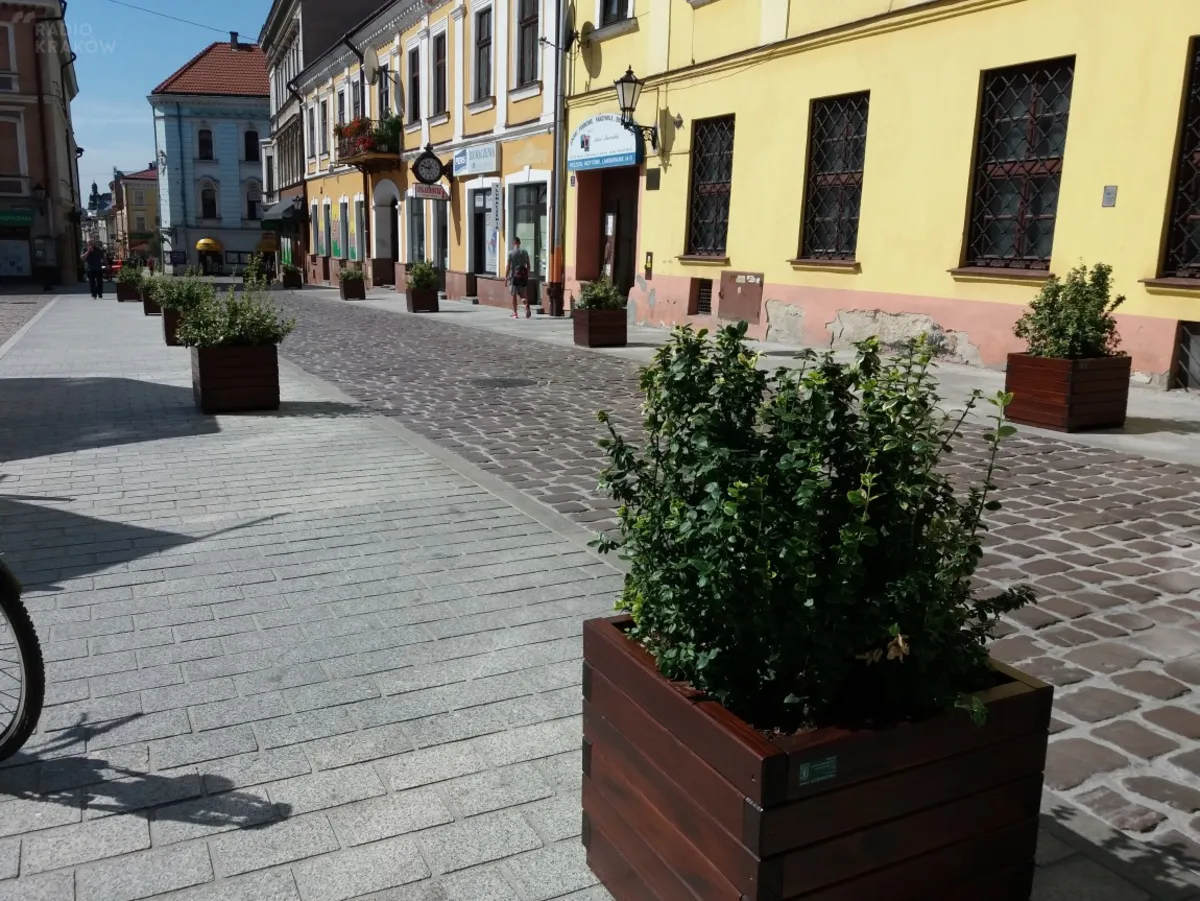 Doniczki w centrum Tarnowa - kontra kierowcy