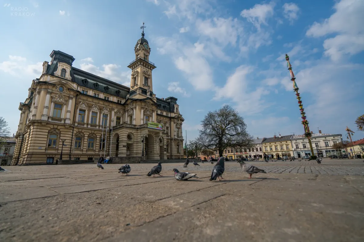 Na sądeckim rynku stanęła 25-metrowa wielkanocna palma