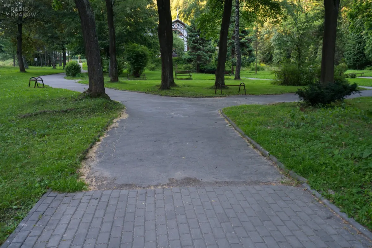 Park Słotwiński w Krynicy: nowa zieleń w zamian za wycinkę kilkudziesięciu drzew