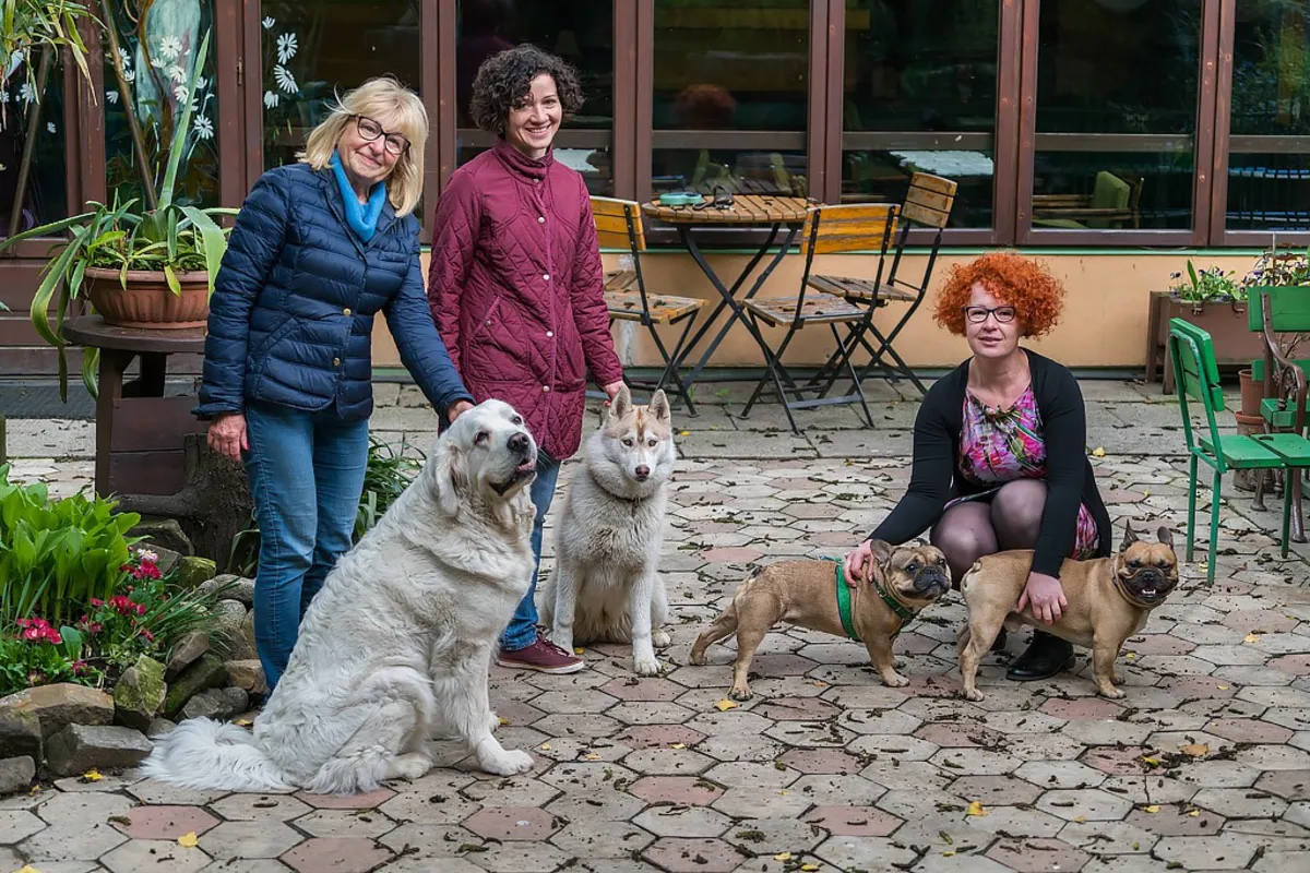 Na mapie Nowego Sącza pojawią się nowe miejsca przyjazne czworonogom