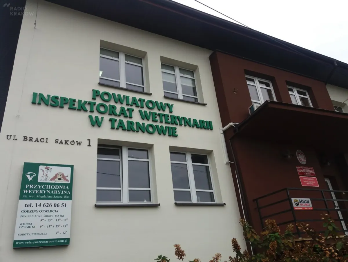Co jest źródłem smrodu w podtarnowskim Krzyżu? Służby mają różne ustalenia