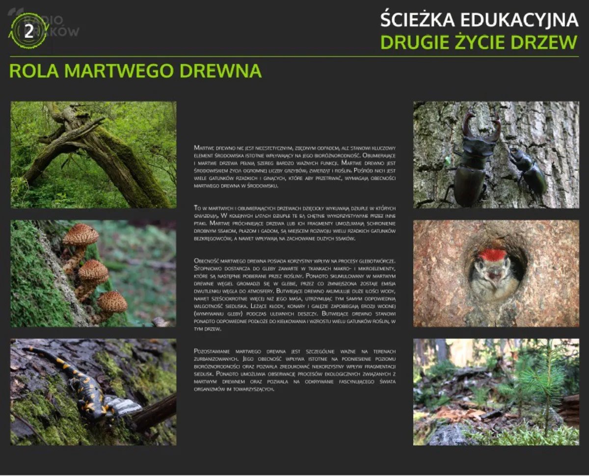 Ścieżka edukacyjna połączy Mistrzejowice z Prądnikiem Czerwonym