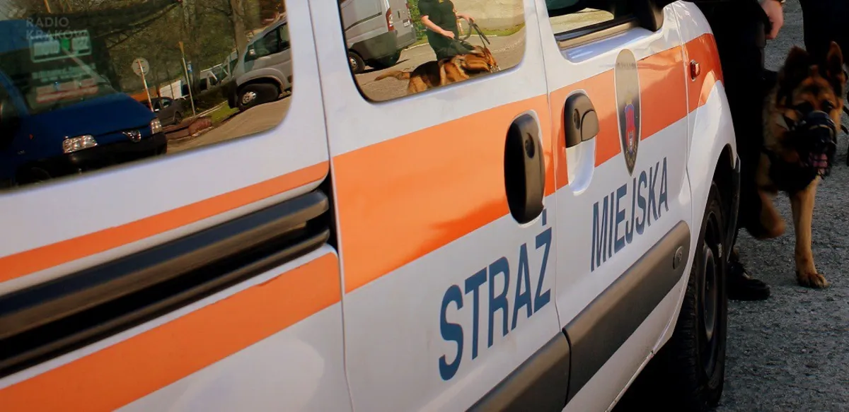 Bezdomny w hipotermii trafił do szpitala. Z pomocą przyszli strażnicy miejscy