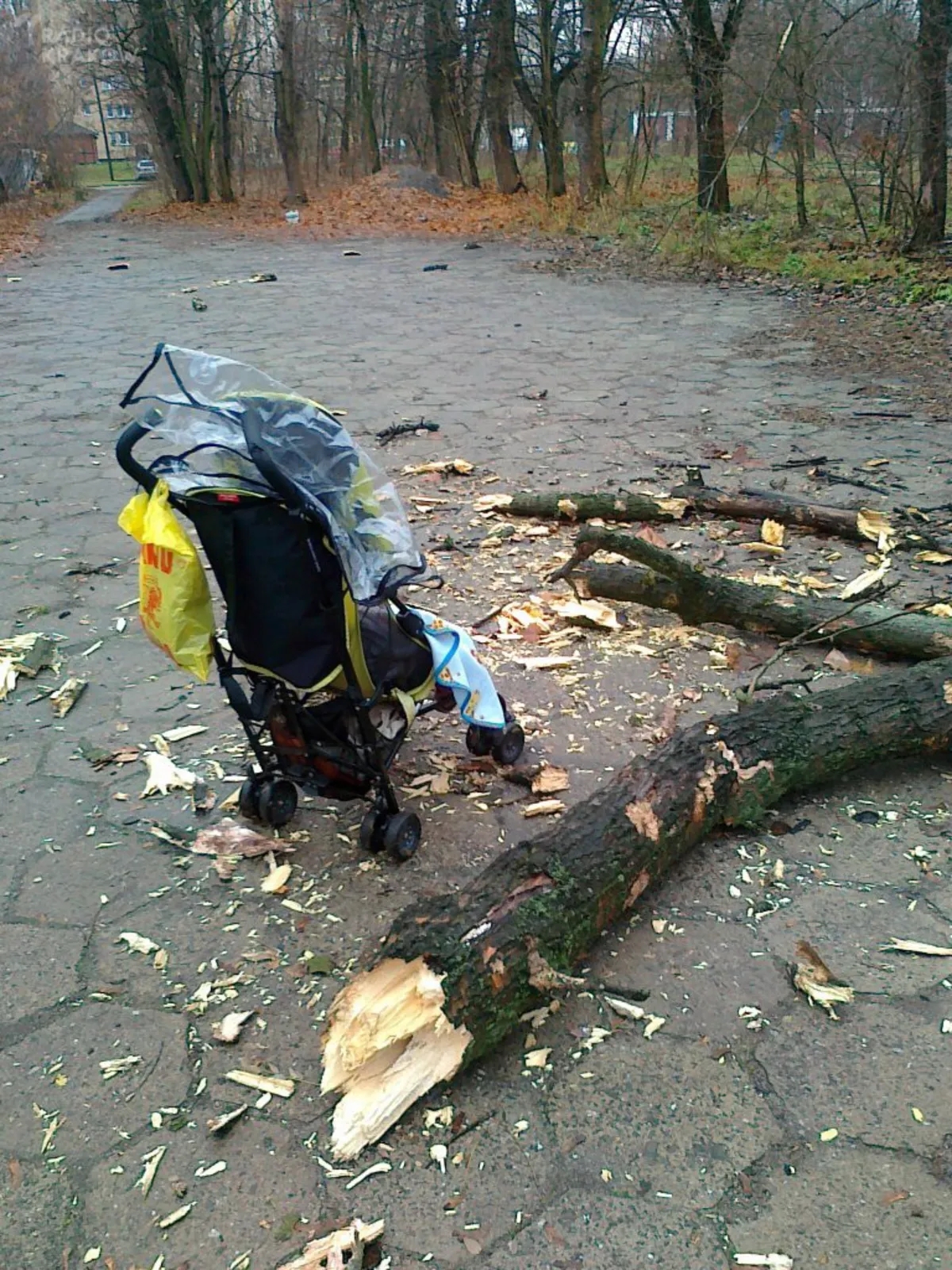 Interwencja RK: park Solvay posprzątany