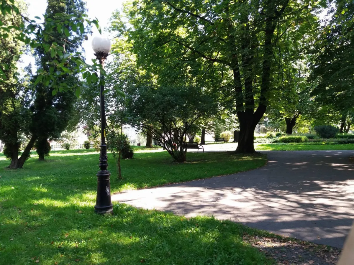 Nowy Sącz: obok ruin zamku powstanie minipark rekreacyjny
