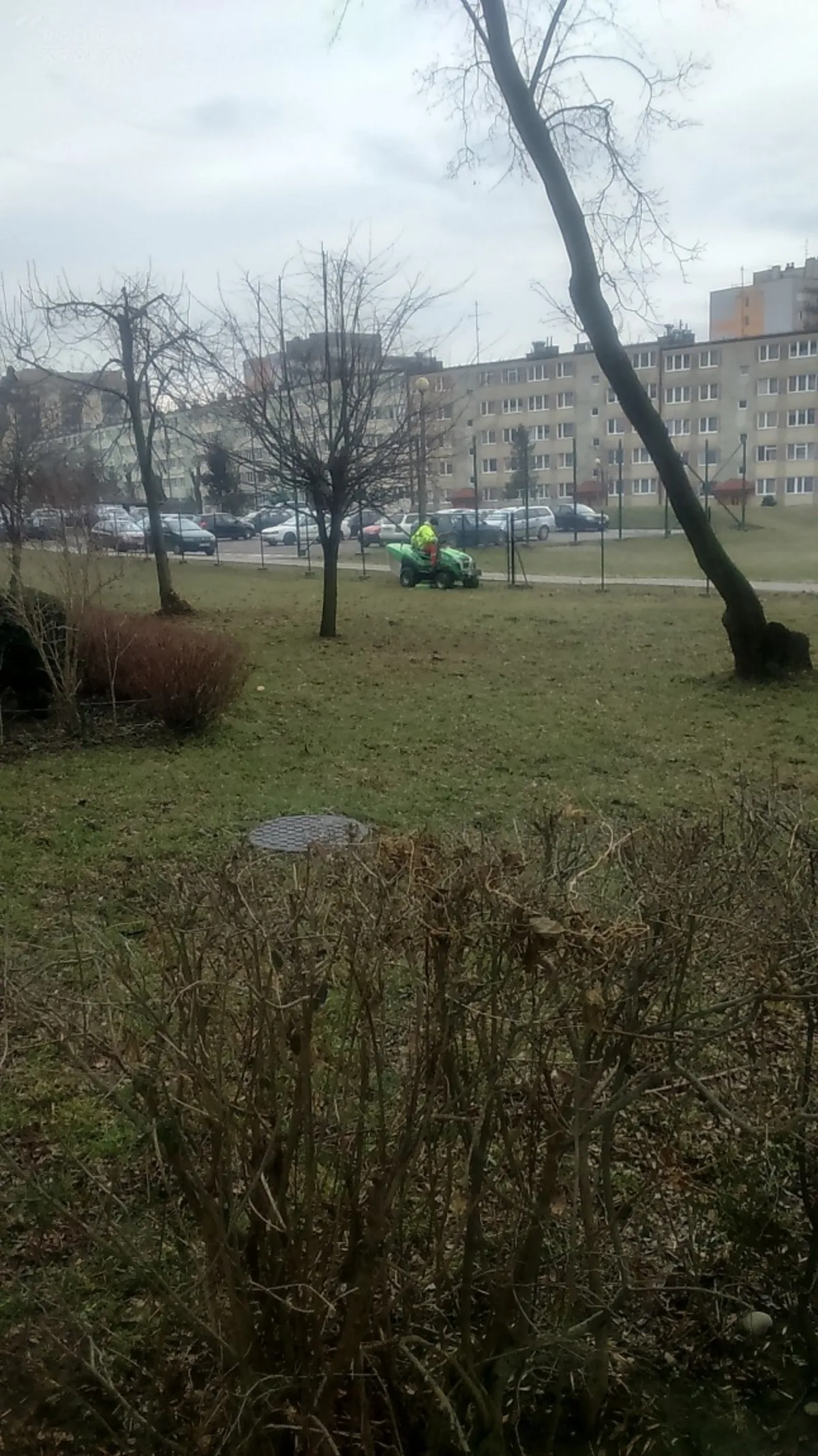 A w Tarnowie sianokosy