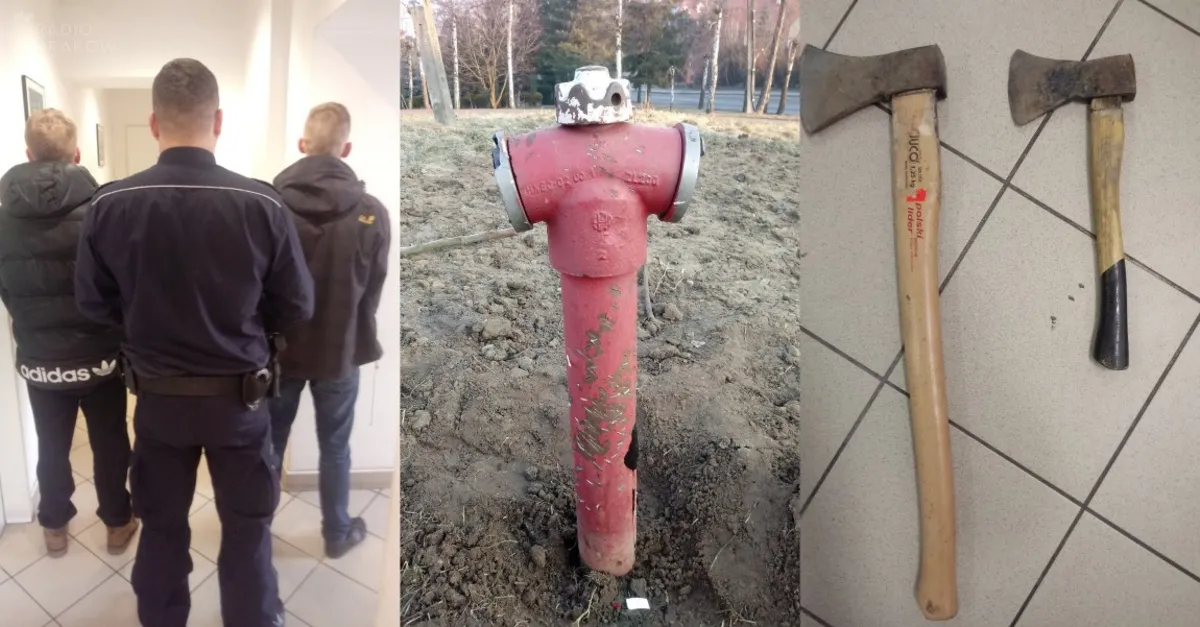 Dwaj mężczyźni zaatakowali siekierami... hydrant