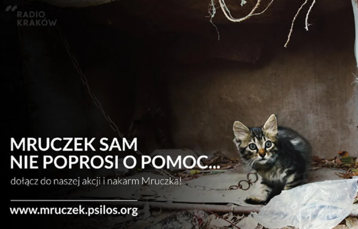Mruczek sam nie poprosi o pomoc